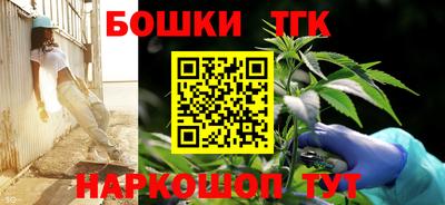 индика Северобайкальск