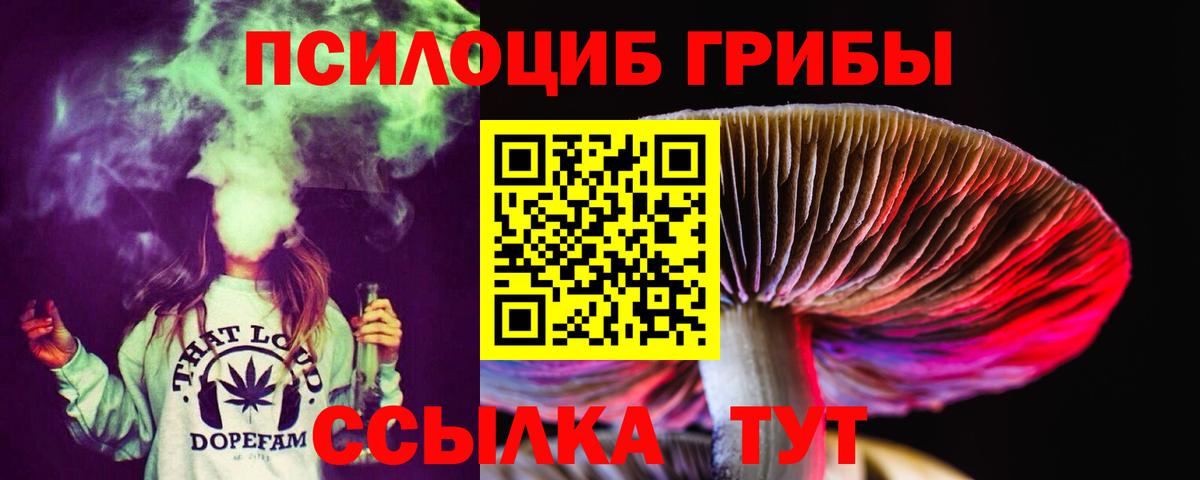 Галлюциногенные грибы Cubensis  Вход с VPN  цена наркотик  Галлюциногенные грибы прущие грибы  Сосновоборск 